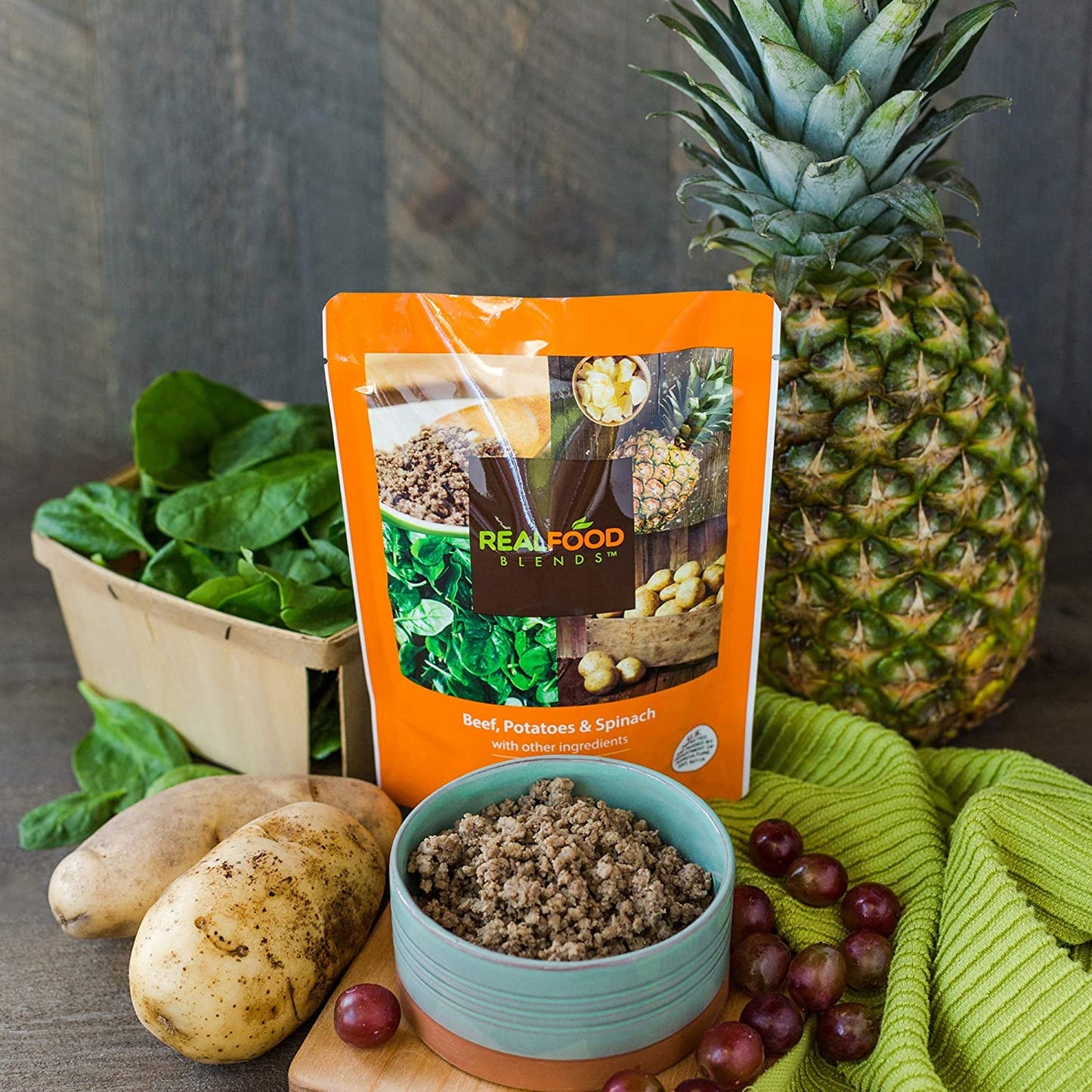 ENTERAL FEEDING, BEEF/POTATOES& SPINACH (12/CS)
