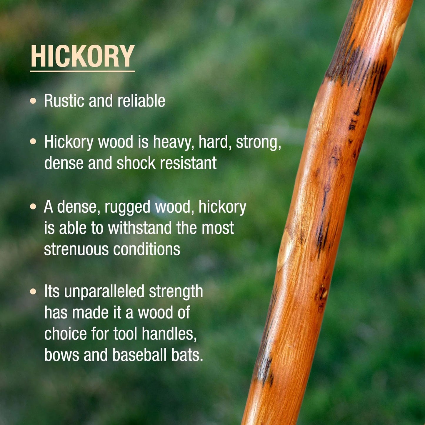STICK, WALKING WOOD BRAZOS 55 FREE FORM LEATHER SAFARI 55"