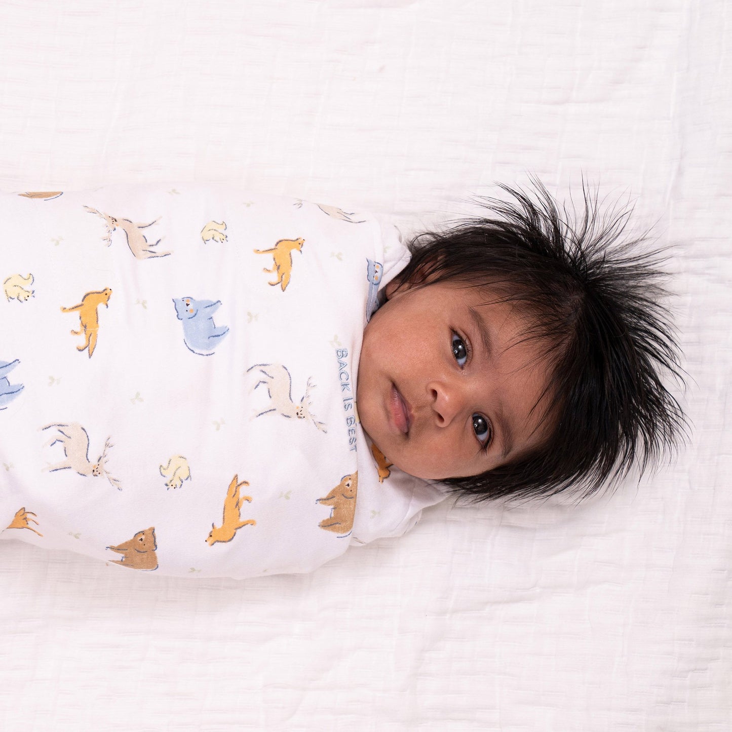 SWADDLE, SLEEPSACK MULTI FOREST FRIENDS NEWBORN (4/CS)