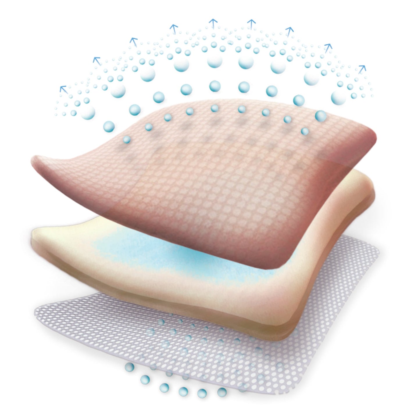 DRESSING, WND ALLEVYN GENTLE BORDER 4X4" (10/BX 10