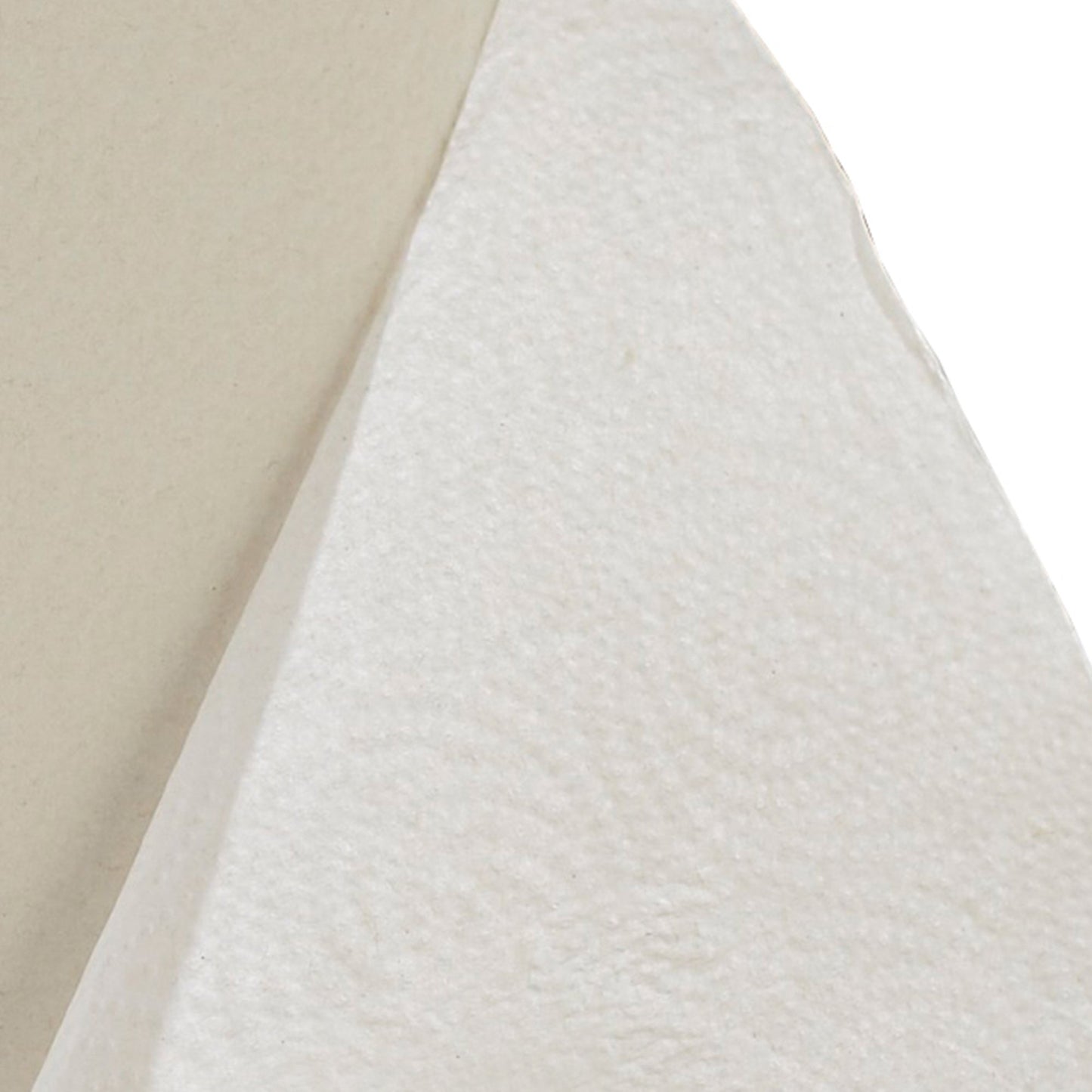 TOWEL, PAPER PERFORM 2PLY WHT (12RL/CS)