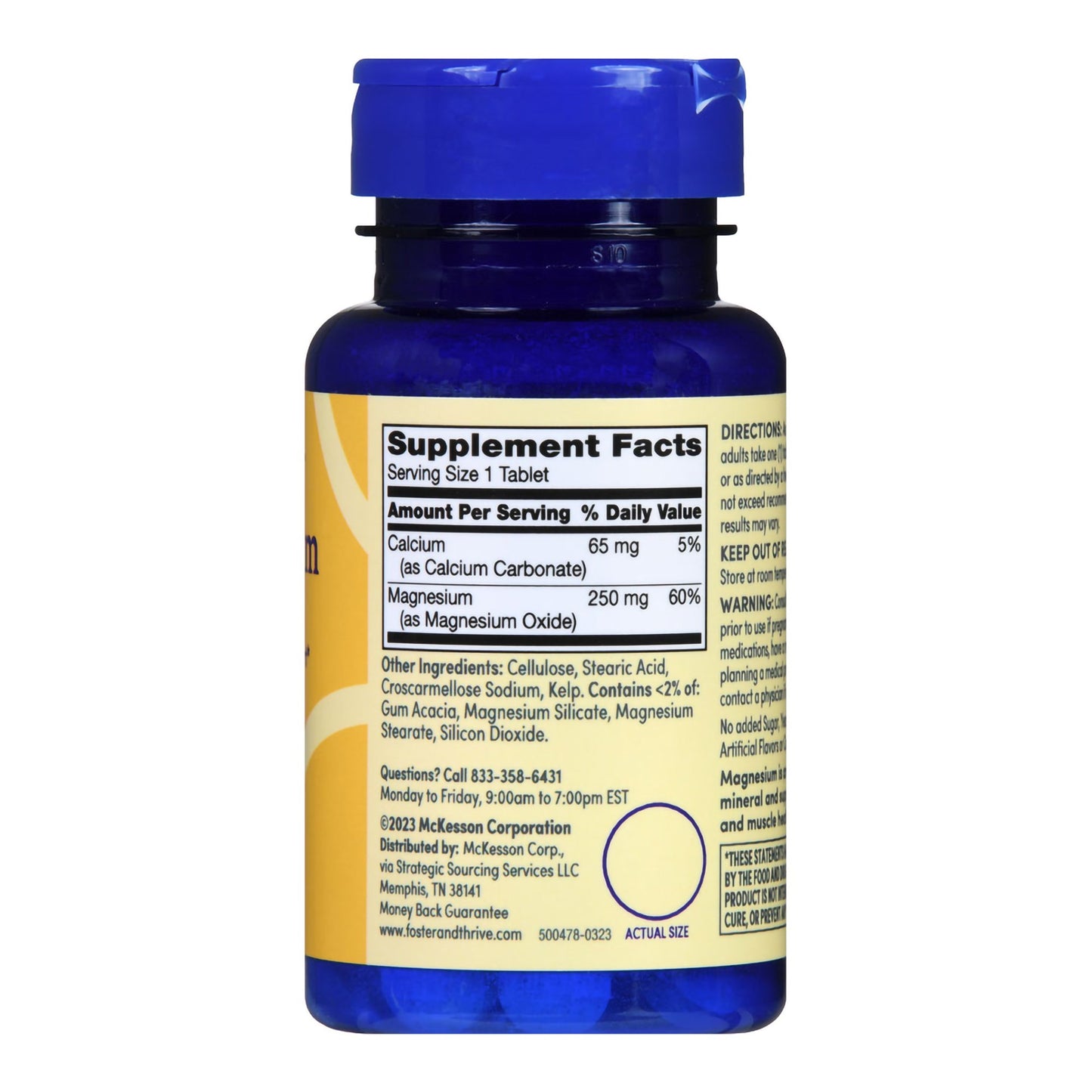 MAGNESIUM, TAB FT SM 250MG (100/BT)
