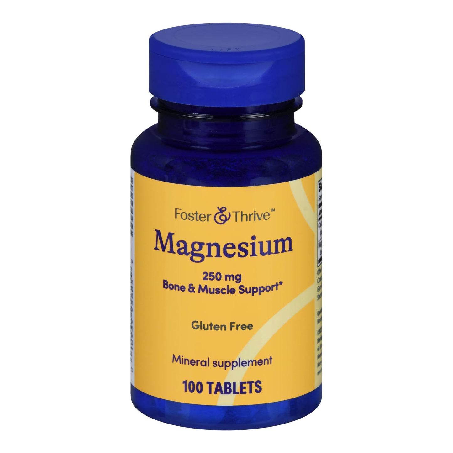 MAGNESIUM, TAB FT SM 250MG (100/BT)