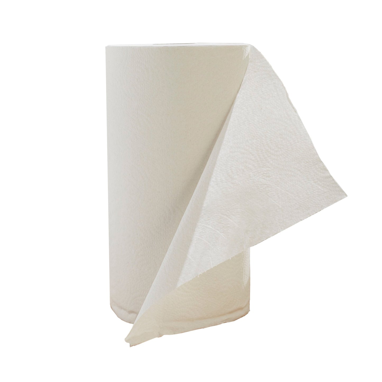 TOWEL, PAPER PERFORM 2PLY WHT (12RL/CS)