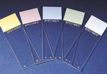 SLIDE, MICRO SUPERFROST+ (144/GR 10GR/CS)