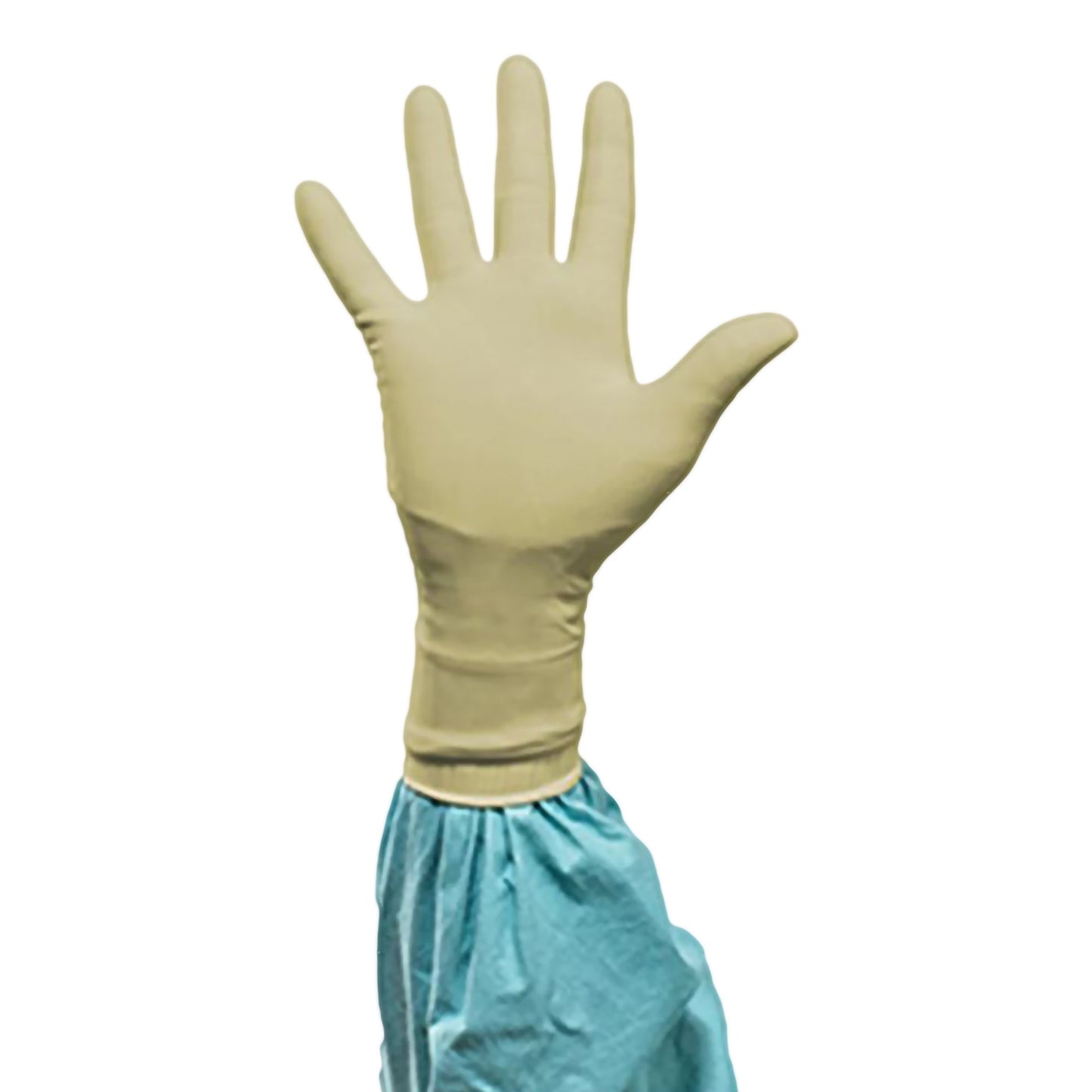 GLOVE, SURG PLYISO 7.0 STR2 SMTH (50PR/BX 4BX/CS)