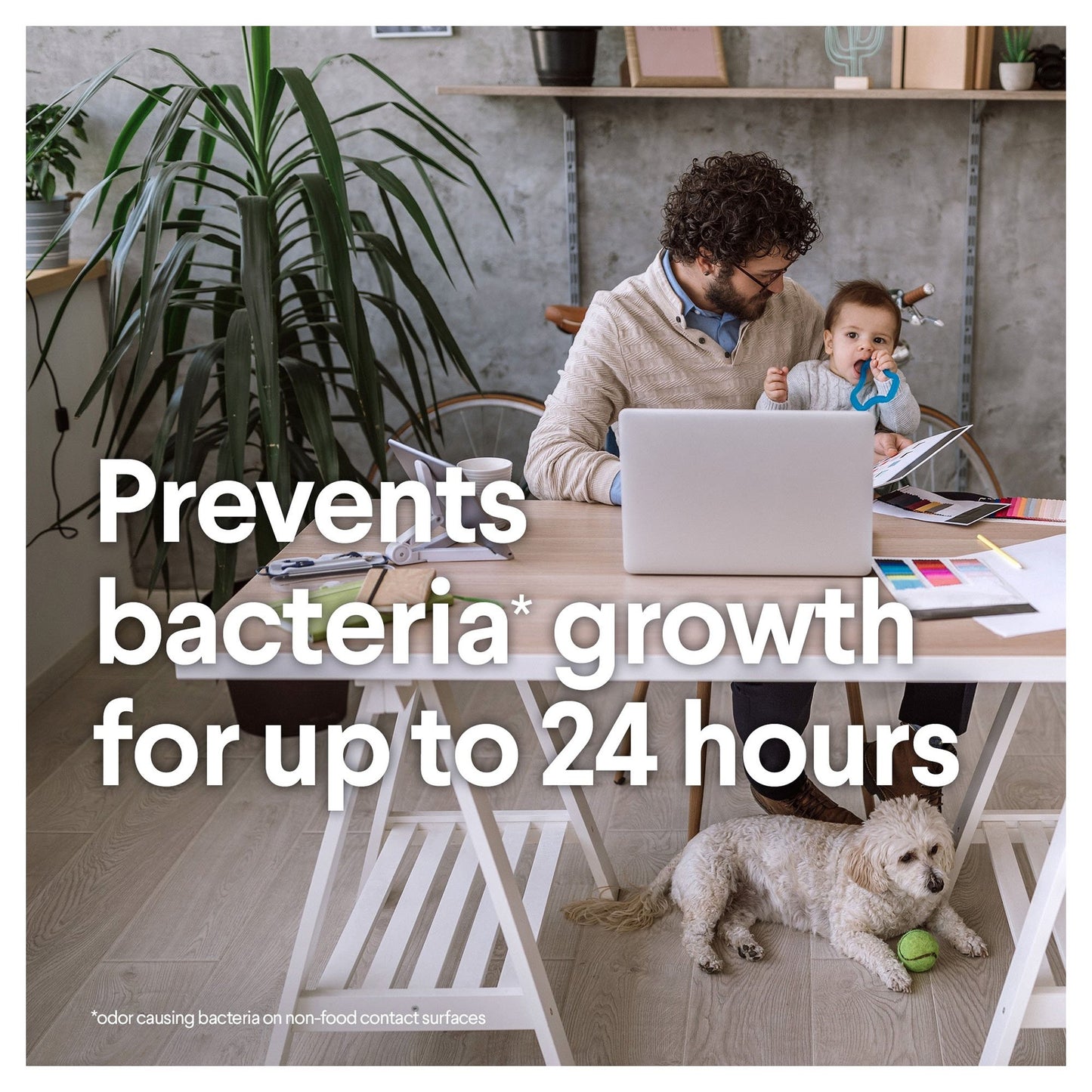 WIPE, CLOROX DISINF LEMON FRESH (35/PK 12PKCS) SALFLD