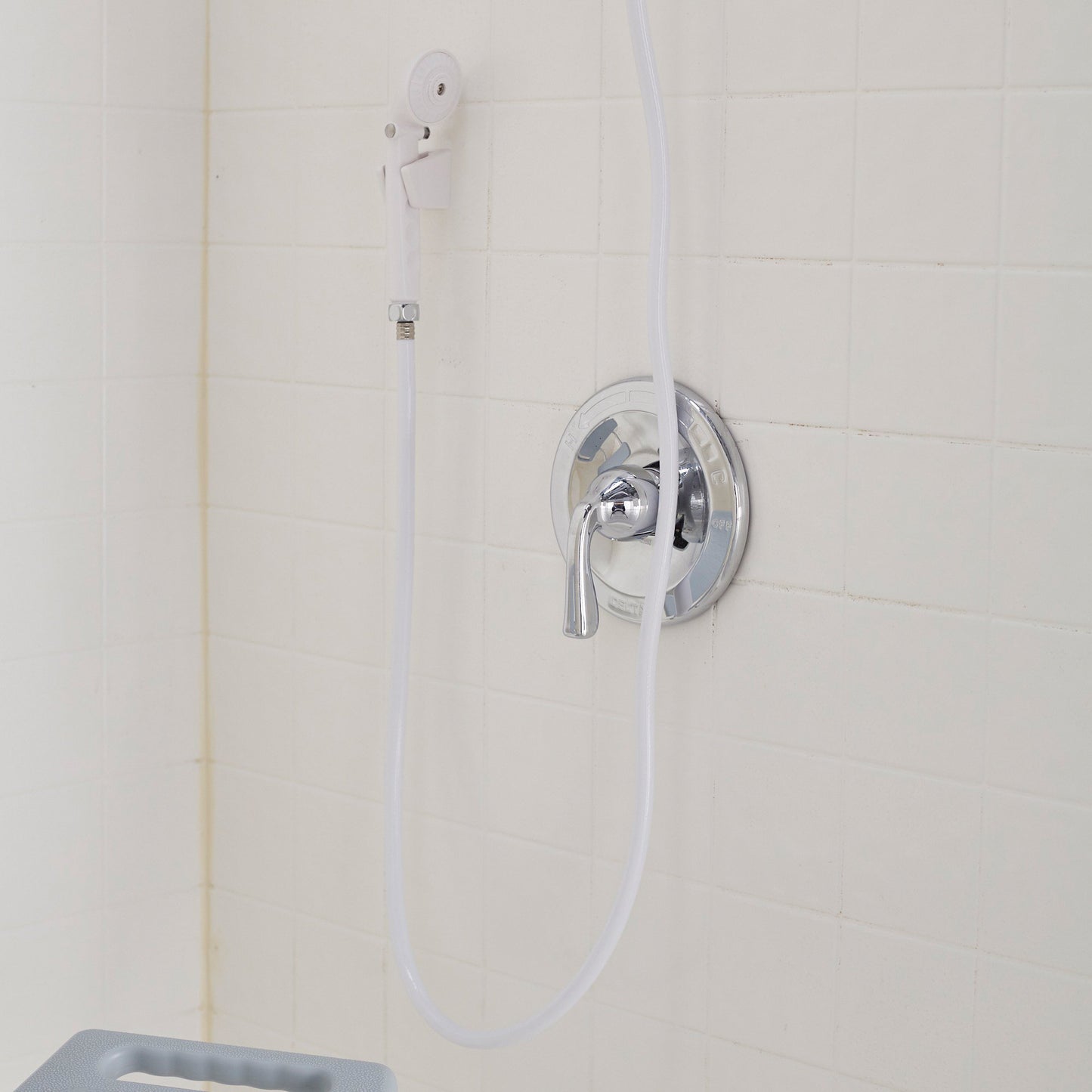 SHOWER, HAND HELD W/DIVERTER VALVE (12/CS)