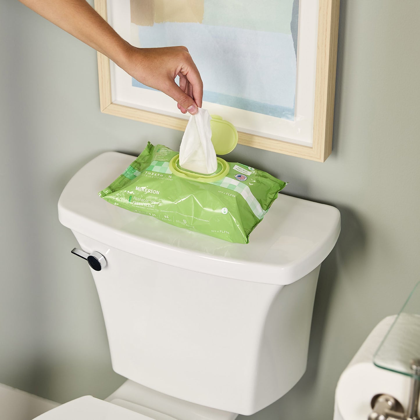 WIPE, WET FLUSHABLE UNSCNTED SFT PK W/LID (96/PK 6PK/CS)
