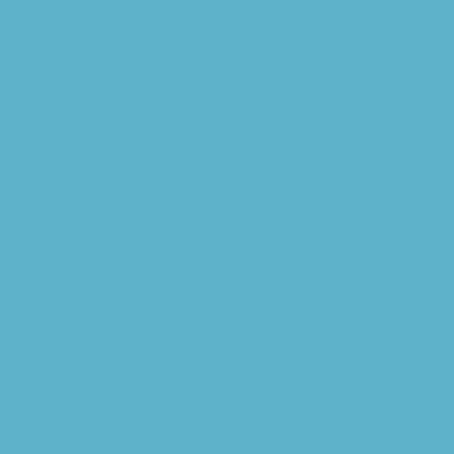TOWEL, PROF 2PLY POLY BLU 13X18 (500/CS)