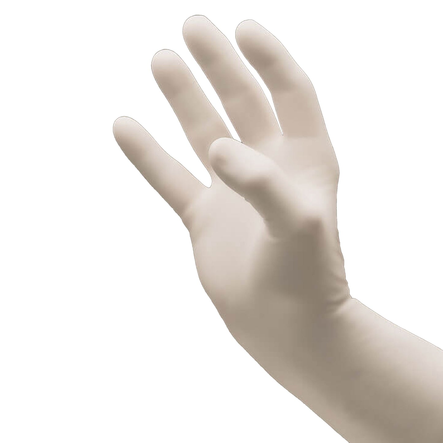 GLOVE, EXAM NTRL LG N/S OAT (200/BX 10BX/CS)