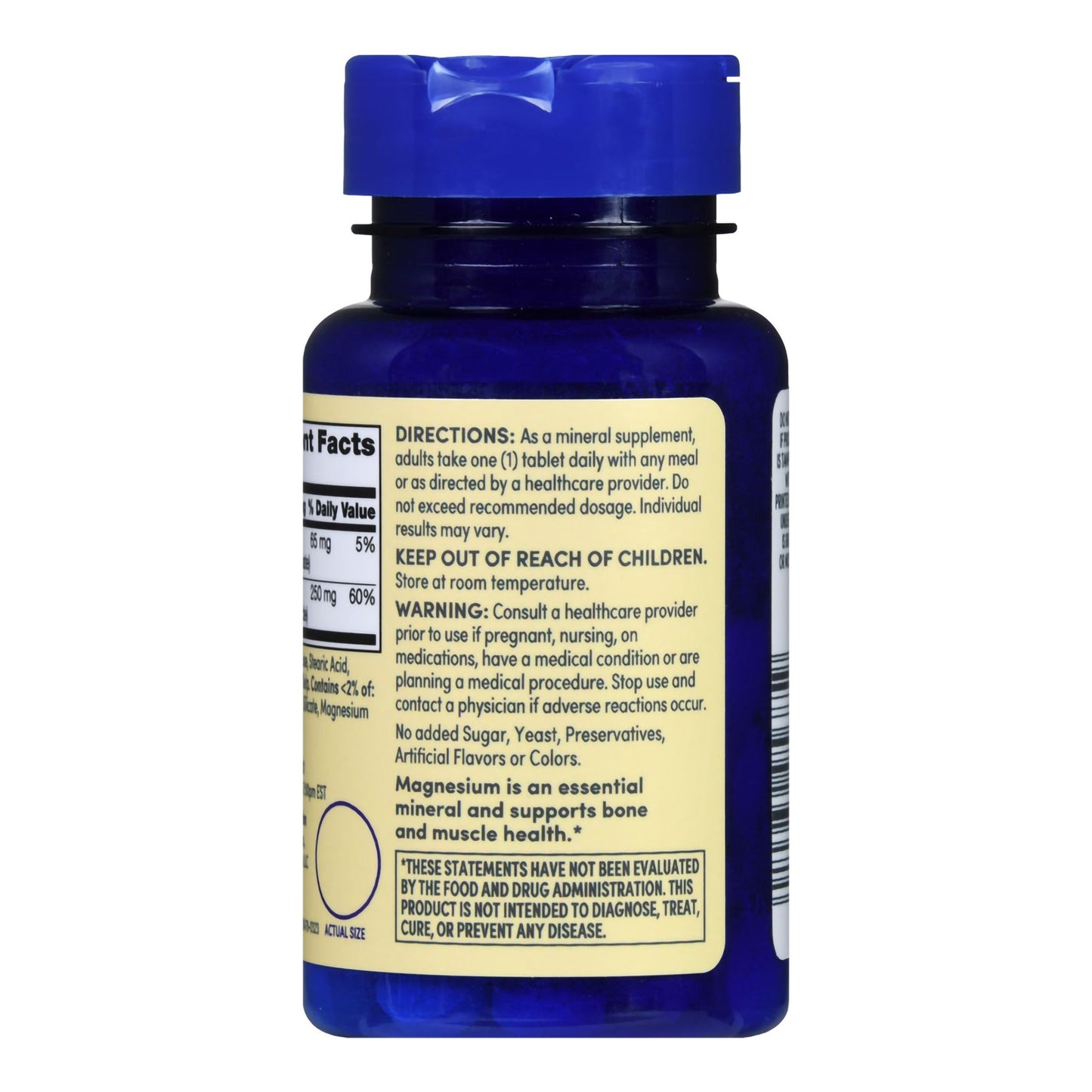 MAGNESIUM, TAB FT SM 250MG (100/BT)