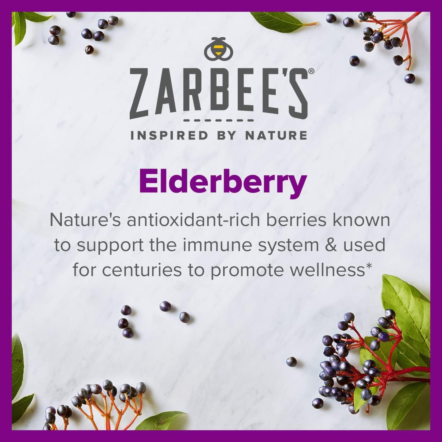 ZARBEES, SYRP NAT ELDERBERRY IMMUNE SUPP 8OZ
