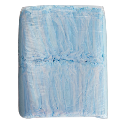 UNDERPAD, STD BLU 17X24" (50/BG 6BG/CS)