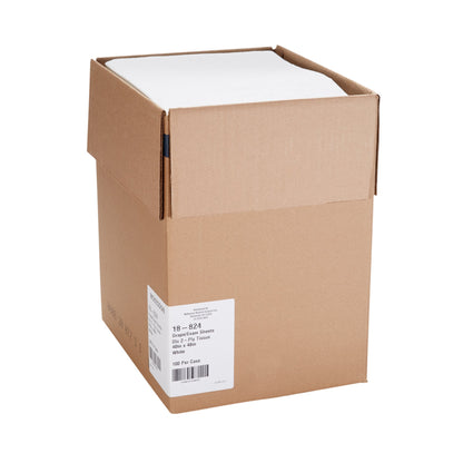 SHEET, DRAPE 2PLY WHT 40X48 (100/CS)