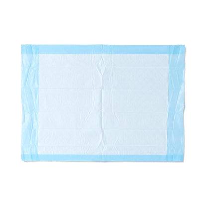 UNDERPAD, FLUFF DISP STD 17"X24" (300/CS)