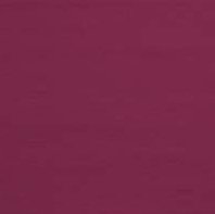 STETHOSCOPE, ADSCOPE S/S BURG ADLT