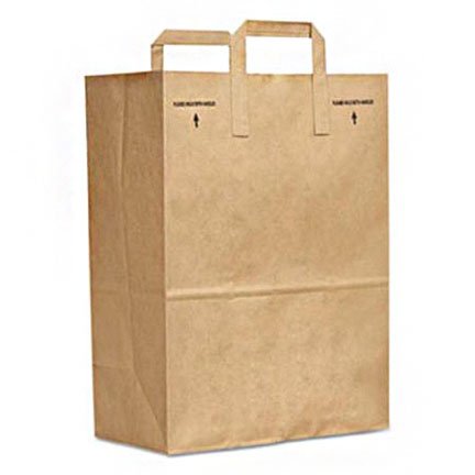 BAG, PAPER W/PAPER HANDLE (300/CS)