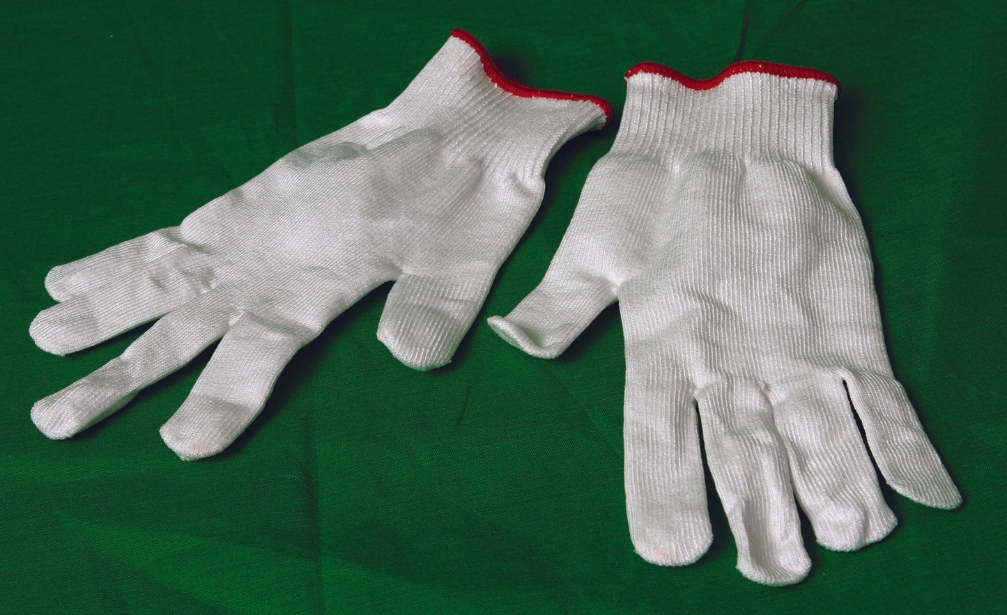 GLOVE, CUT RESIST LG (10PR/CS)