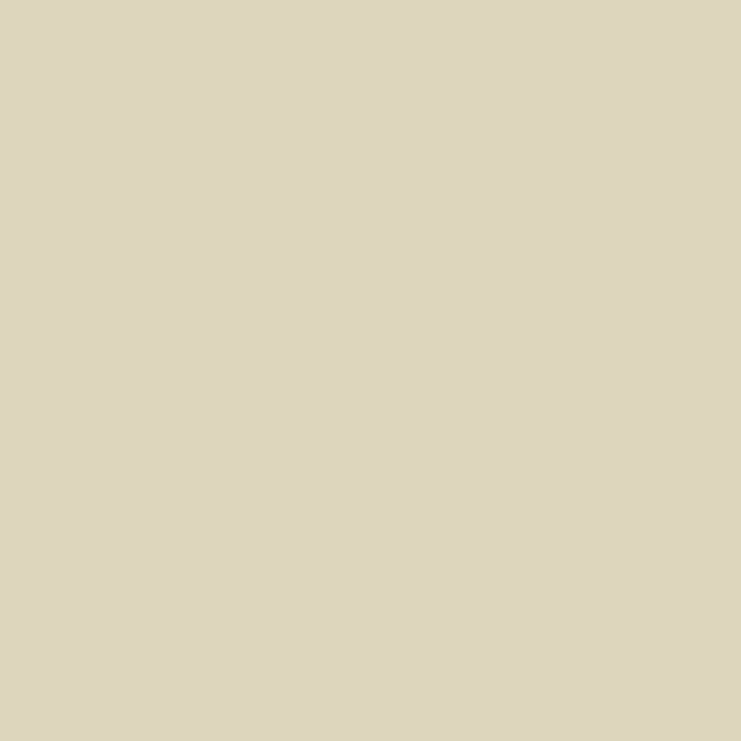 FELT, ORTHOPAEDIC ADH WHT 1/4"X2 1/2YDS