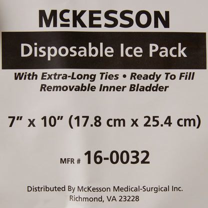 PACK, ICE W/TIES 7"X10" LF (10/BG 10BG/CS)