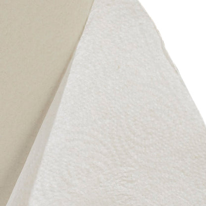 TOWEL, PAPER PERFORM 2PLY WHT (12RL/CS)