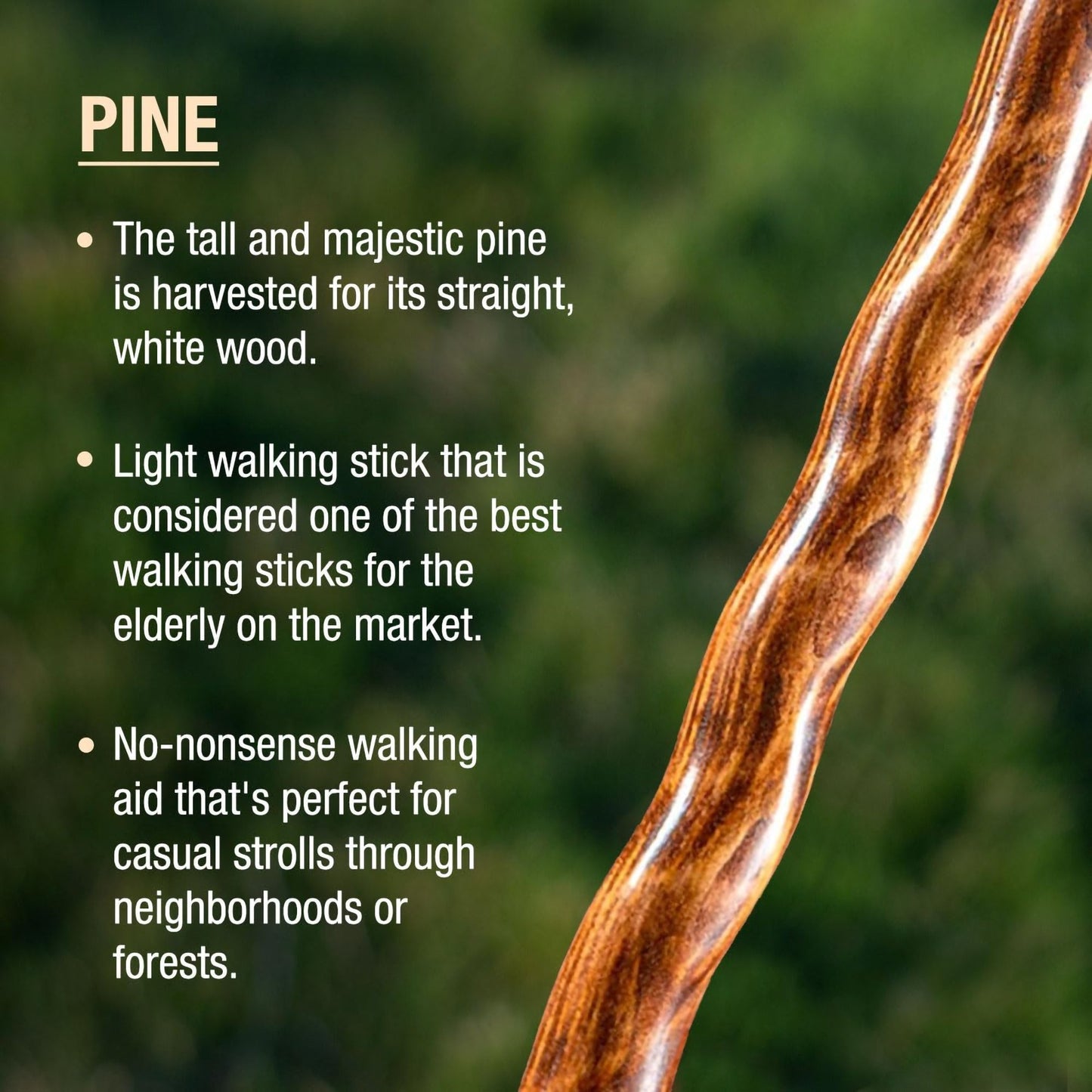 STICK, WALKING BRAZOS TEXAS TRAVELER RED 55"