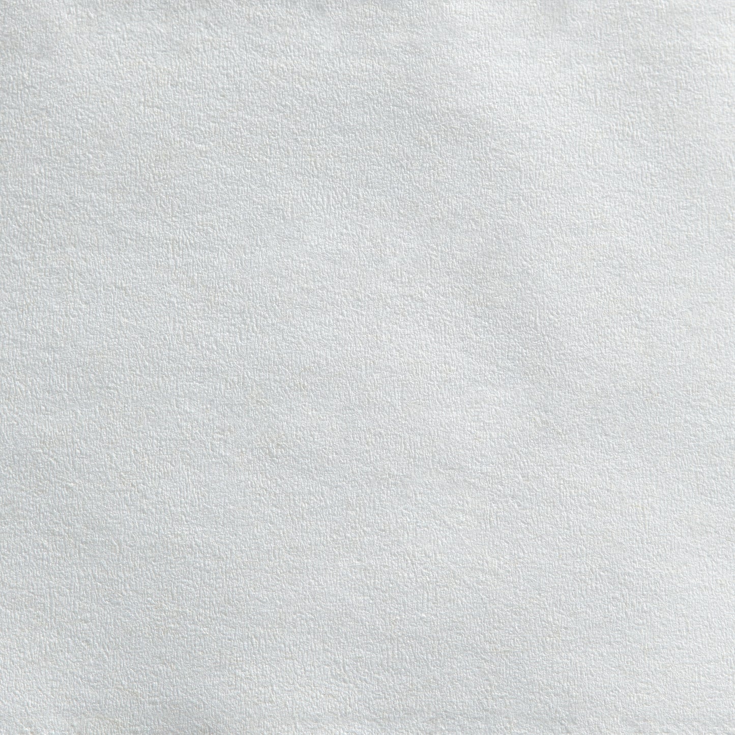 TISSUE, TOILET ENVSN 2PLY JUMBO WHT (8RL/CS)