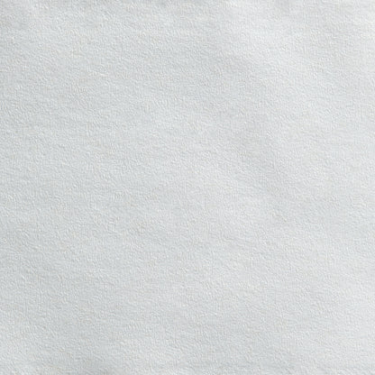 TISSUE, TOILET ENVSN 2PLY JUMBO WHT (8RL/CS)