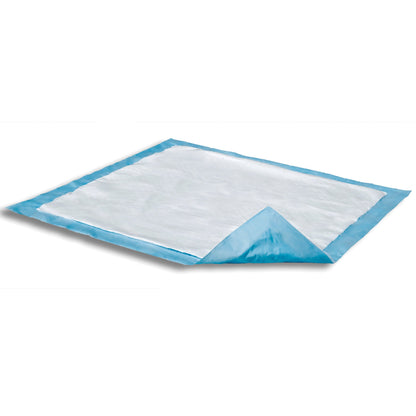 UNDERPAD, DRI-SORB 23X24" (10/PK 20PK/CS)