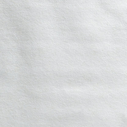 TISSUE, TOILET ACCLAIM 2PLY 1000FT WHT (8RL/CS)