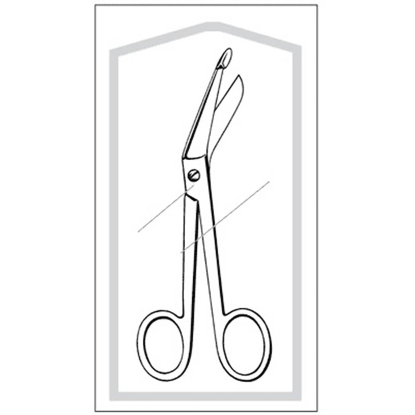 SCISSOR, LISTER BANDAGE STR 5 1/2"(50/BX)