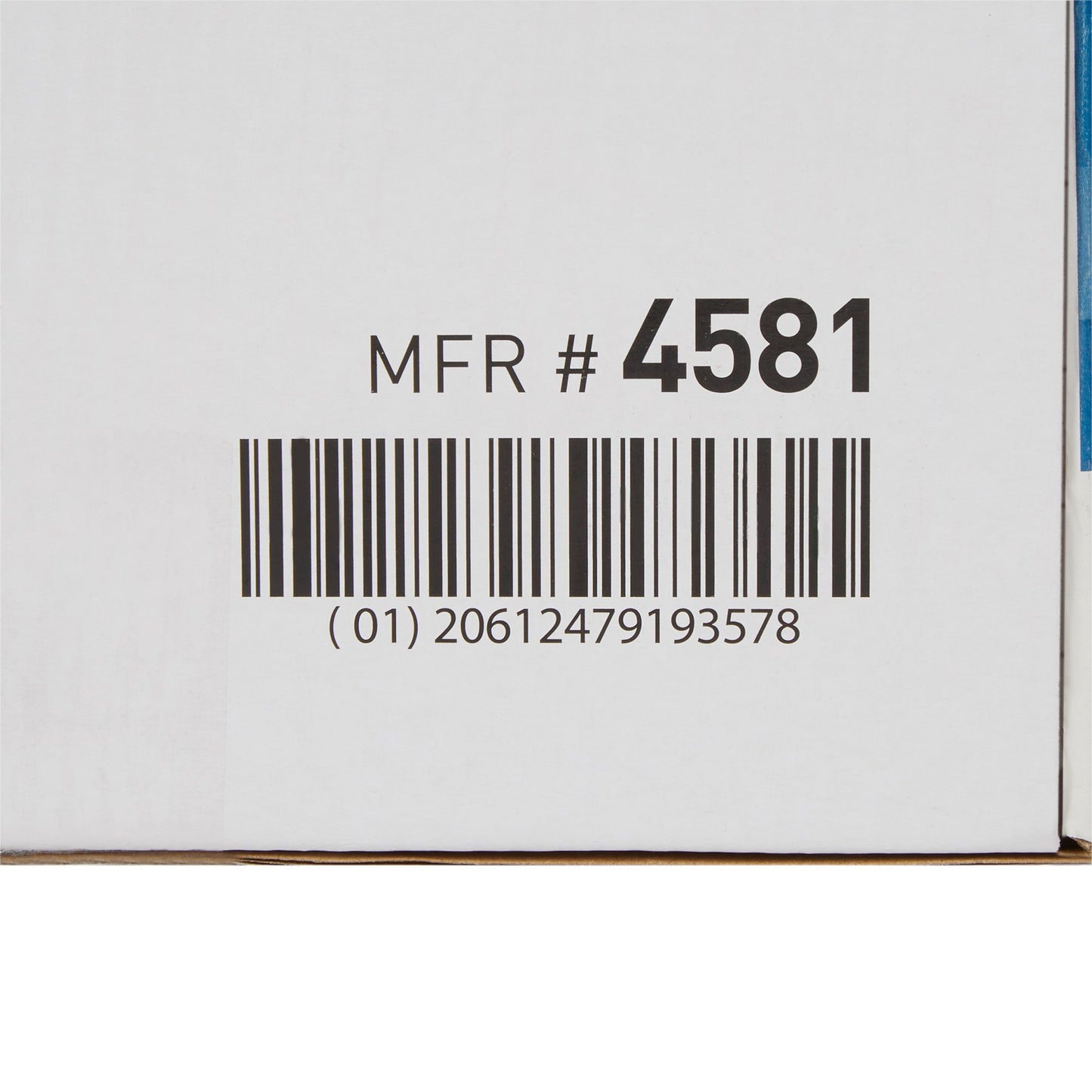 BAG, ZIP LOCK 8X10" (100/PK 10PK/BX 3BX/CS)