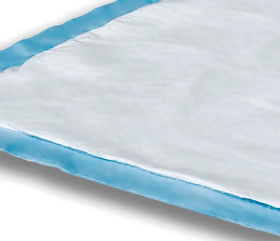 UNDERPAD, DRI-SORB 17X24" (10/BG 30BG/CS)