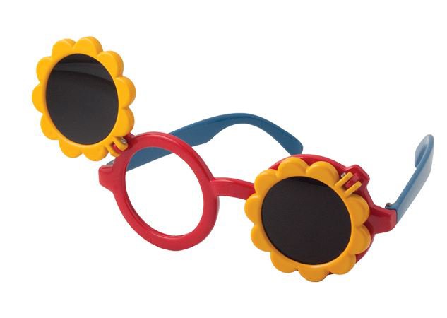 GLASSES OCCLUDING SUNFLOWER