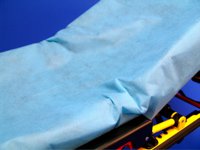 SHEET, STRETCHER F/POWER FLEX 30X84 (50/CS)