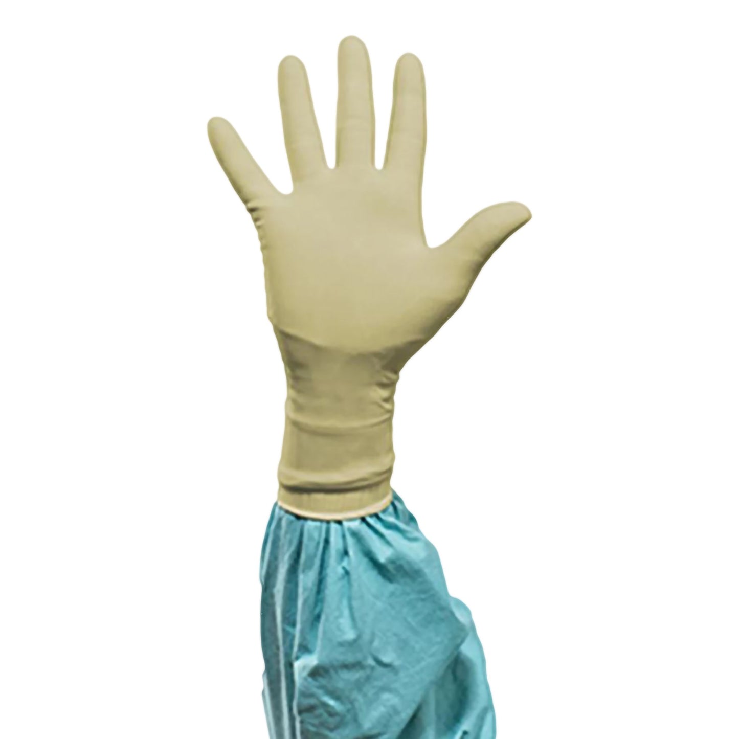 GLOVE, SURG PLYISO 6.5 STR2 SMTH (50PR/BX 4BX/CS)