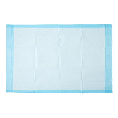 UNDERPAD, FLUFF ECON 23"X36" (25/BG 6BG/CS)