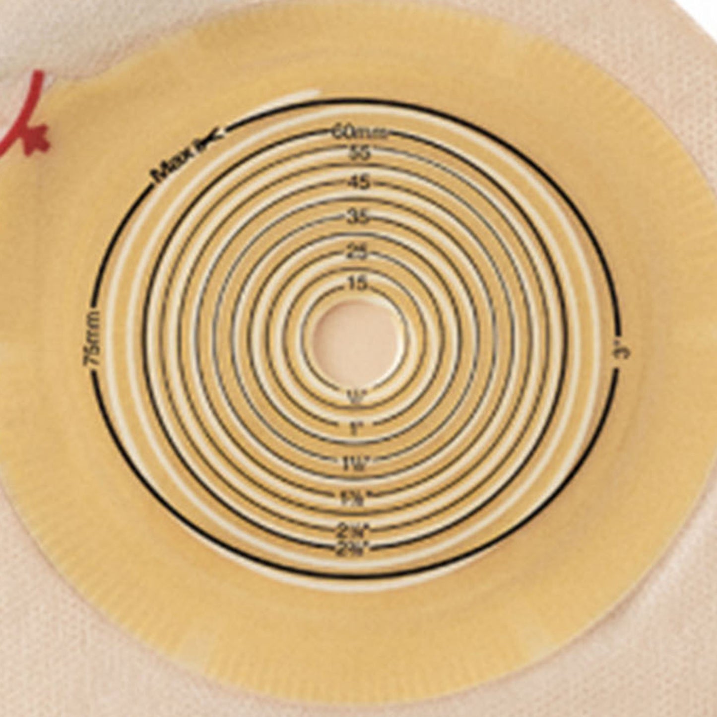 POUCH, MAXI TRANSP 12-70MM (10/BX)