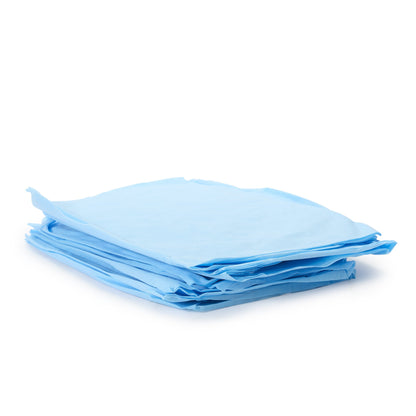 SHEET, STRETCHER BLU 40"X89" (25/CS)