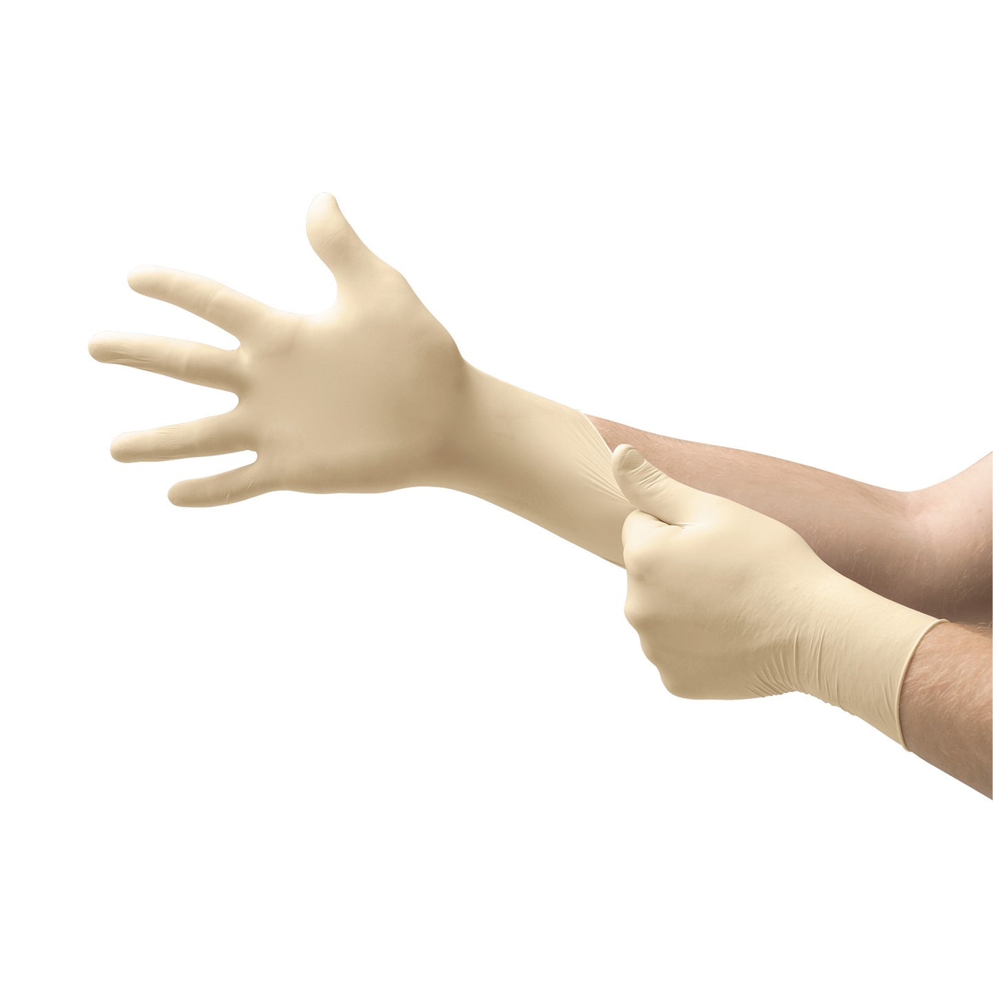 GLOVE, EXAM LTX SM N/S (100/BX10BX/CS)