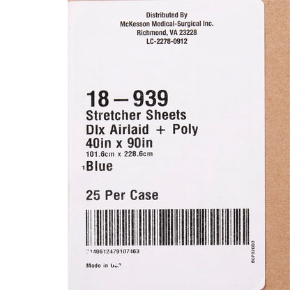SHEET, STRETCHER AIRLAID/POLY BLU 40X90 (25/CS)