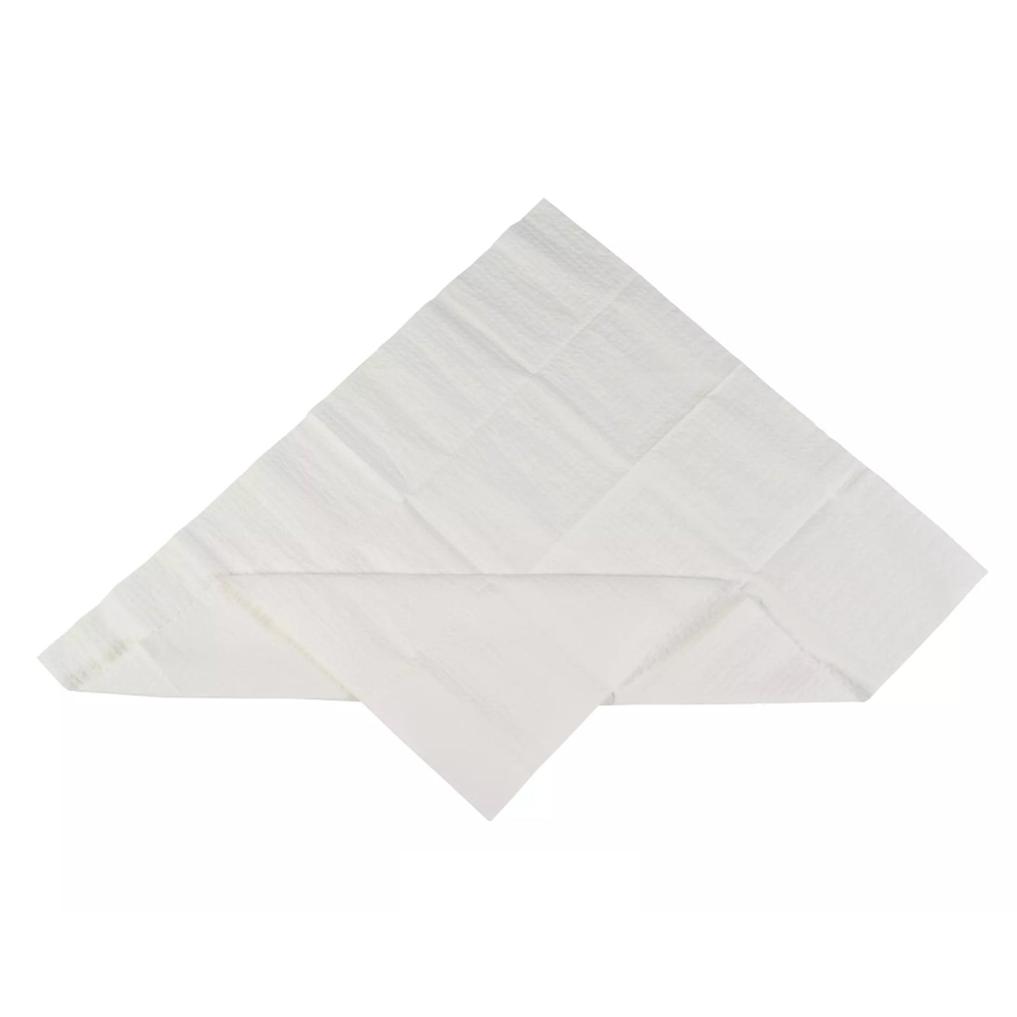 LINER, INST TRAY ABSORB 19.5X2(50/BG 8BG/CS)