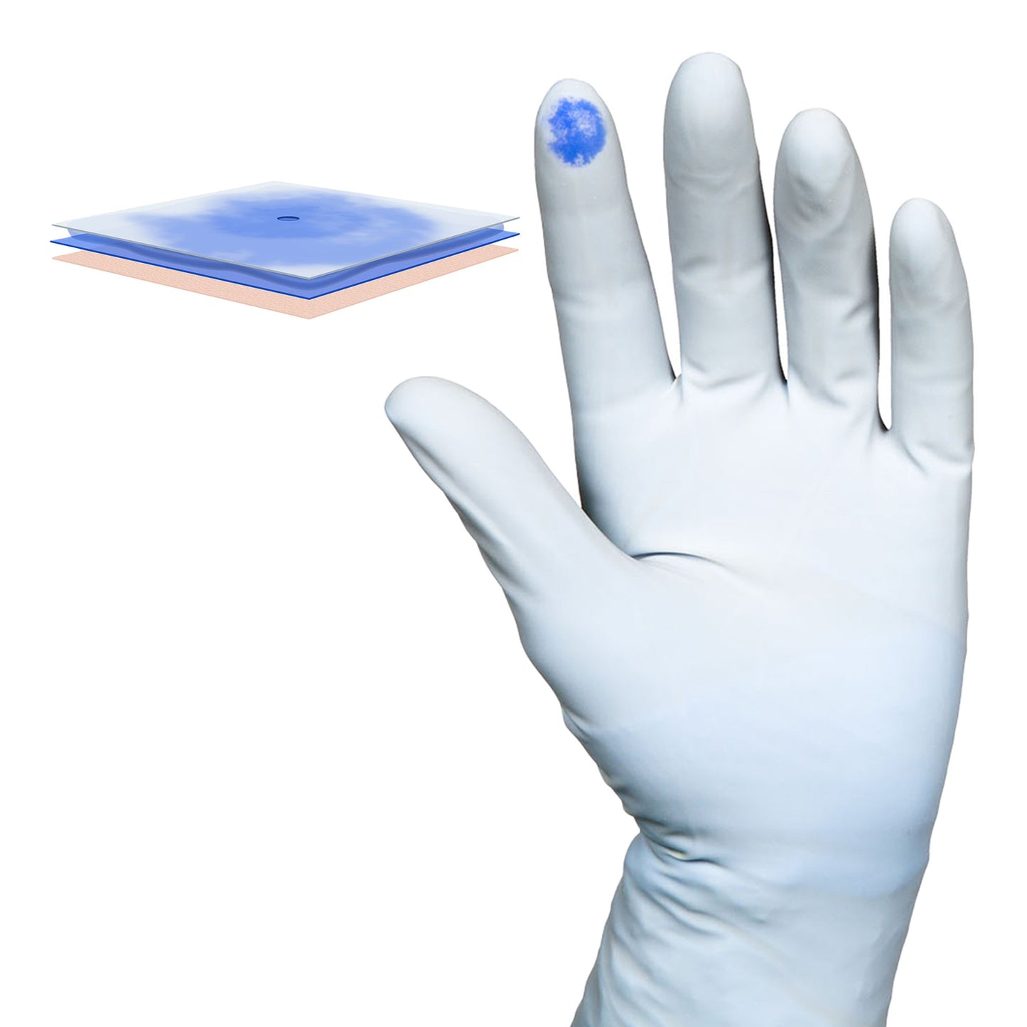 GLOVE, SURG PLYISO 8.0 STR2 TXT (50PR/BX 4BX/CS)