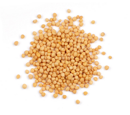 Frontier Herb Org Whole Yellow Mustard Seed (1x1lb)