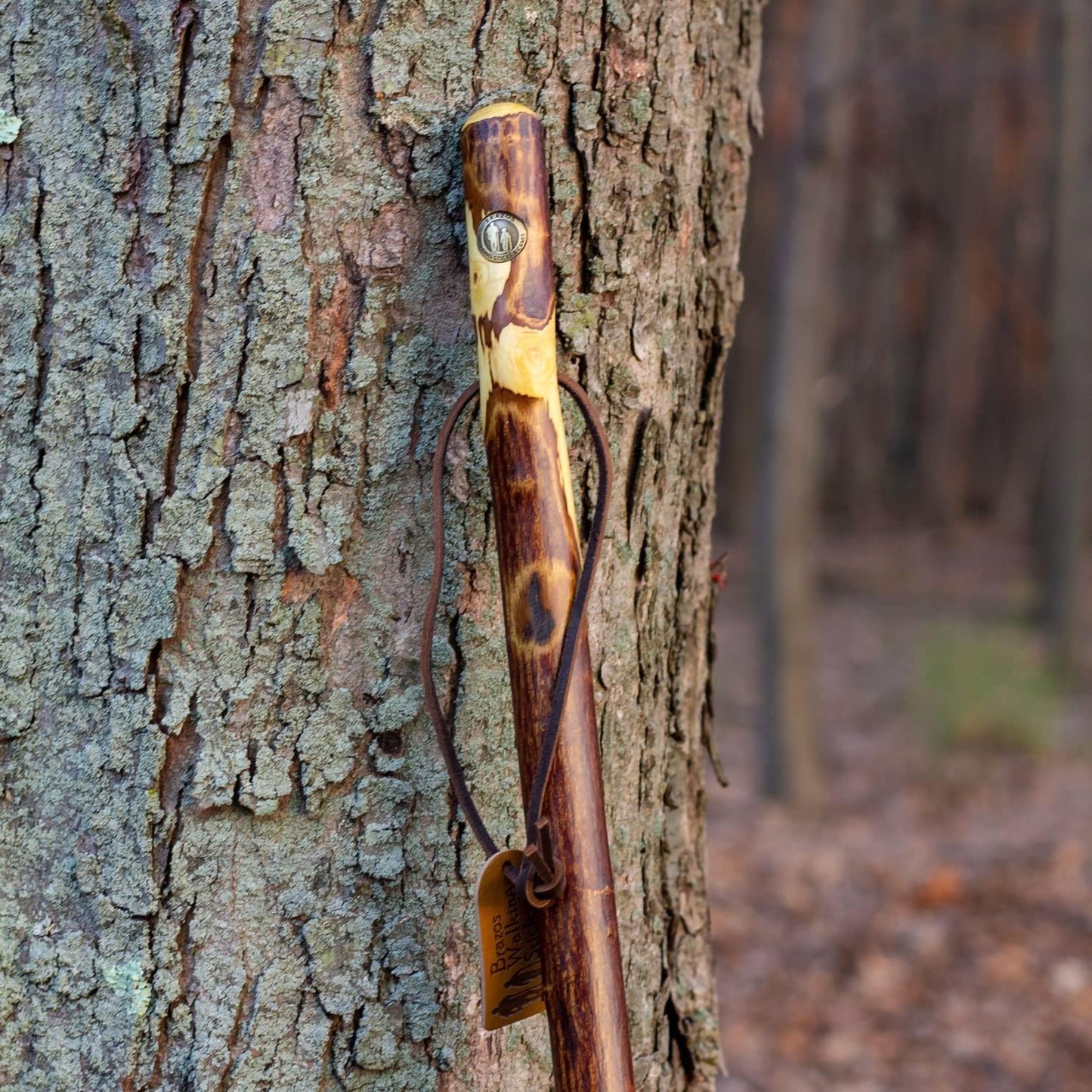 STICK, WALKING WOOD BRAZOS FREE FORM HAWTHORN 58"