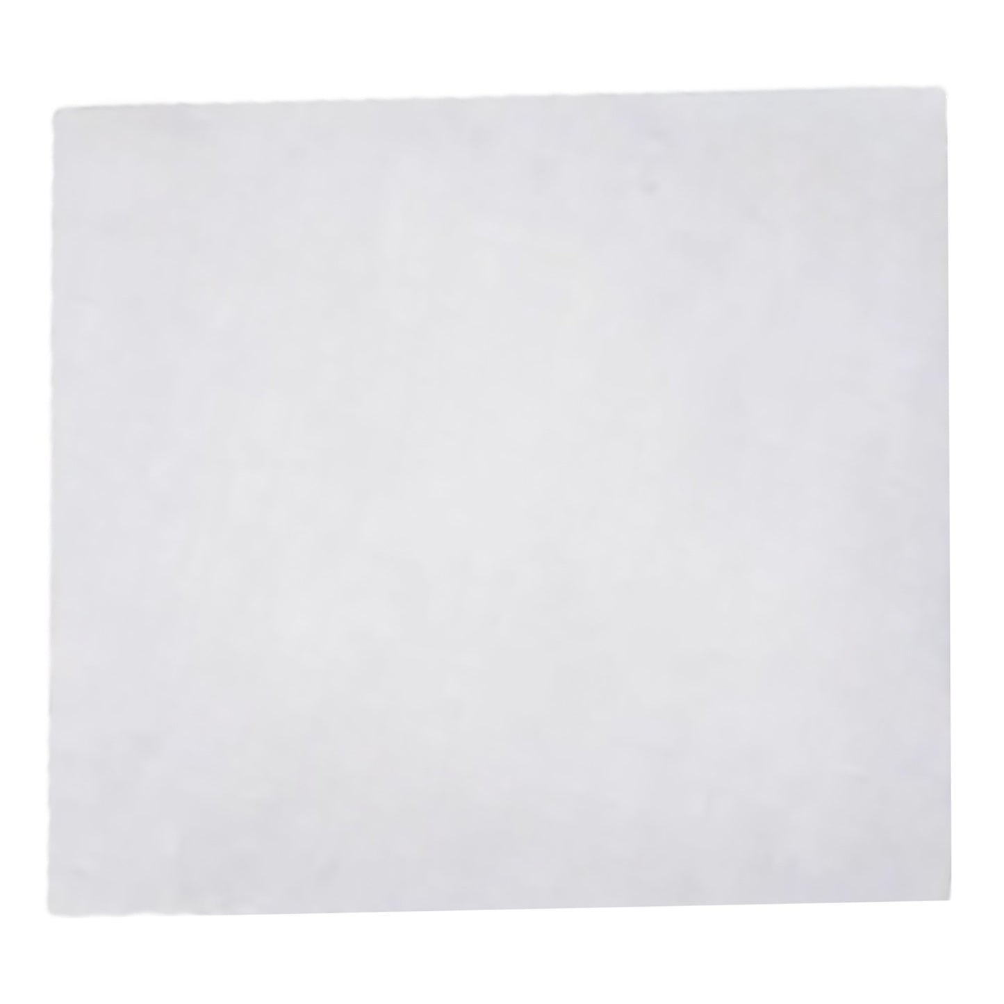 FILTER, AIR F/DCA VANTAGE RAPID POINT 400 SERIES ANLYZ (2/PK