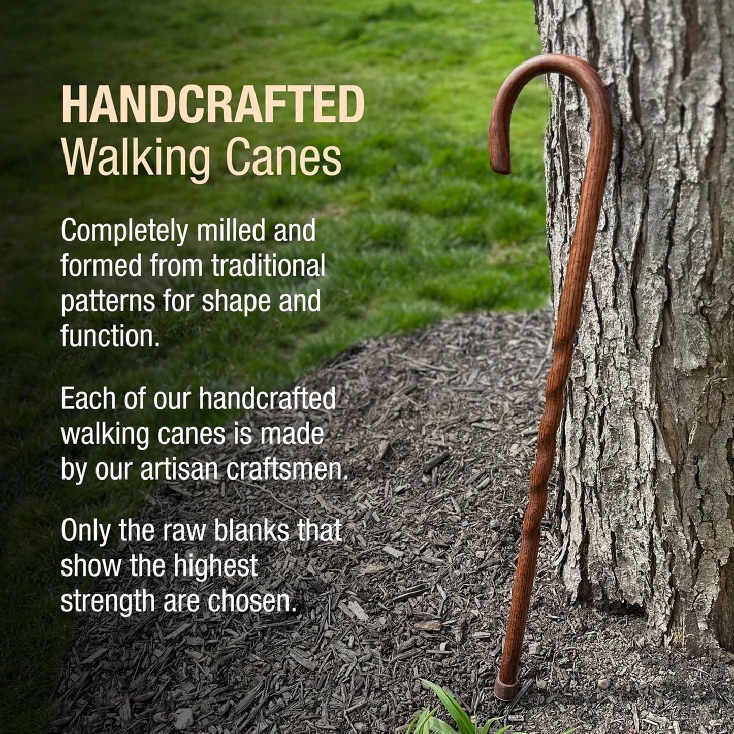 CANE, WALKING WOOD BRAZOS 37 TWISTED OAK CROOK NECK RED 37"
