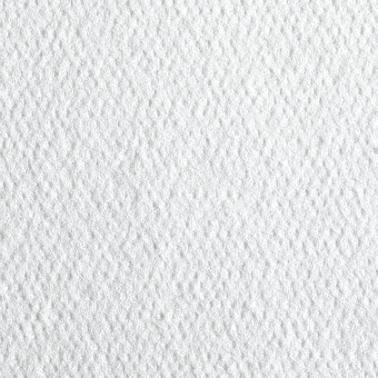 WIPER, PT CARE GP PRO PACIFIC WHT DISP 1/4" (55/PK 24PK/CS)