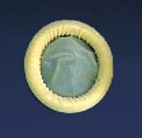 ULTRA COVER, ROLLED N/S 35X200MM(100/BX)